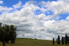 Clouds Over Poplar Trees