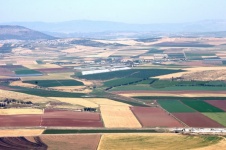 Colorful Agriculture Fields