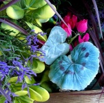 Colorful Artificial Flora