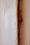 Detail Of Rust Under Paint