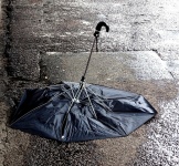Discarded Umbrella