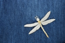 Dragonfly On Blue Denim Background