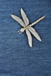 Embroidered Dragonfly On Denim