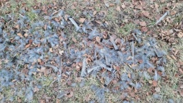 Feathers On The Ground
