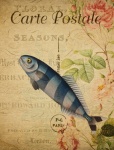 Fish Mackerel Vintage Postcard