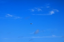 Fixed Wing Aircraft Aloft In Sky