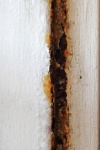Flaking Paint On Rusted Doorframe