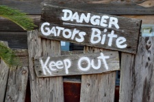 Gators Warning Sign
