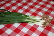 Green Onions On Red Checkered Cloth