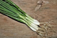 Green Onions On Wood Table