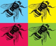 Bumblebee Pop Art Art