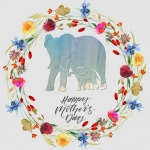 Elephant Mother&039;s Day