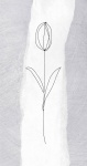 Line Art Botanical Illustration
