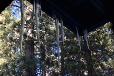 Icicles Hanging