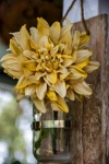 Yellow Flower In Mason Jar