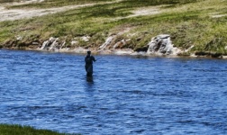 Fishing In River