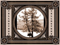 Yellowstone Travel Poster