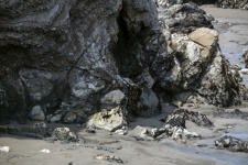 Caves At The Beach