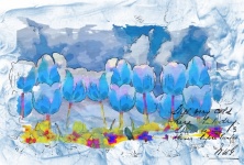 Blue Tulips Art