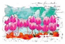 Tulip Art Poster