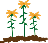 Three Sunflowers Illustration
