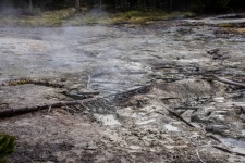 Thermal Grounds In Yellowstone