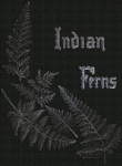 Indian Ferns Book Cover