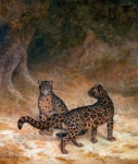 Cats Leopard Jaguar Vintage