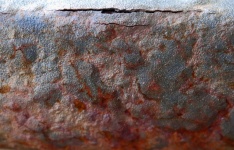 Large Crack With Severe Rust