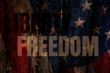 Liberty Freedom Grunge Poster