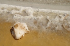 Lump Of Salt On Dead Sea