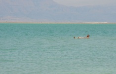 Man Floating In The Dead Sea