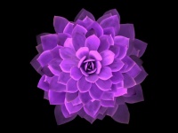 Mandala, Flower Of Life