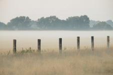 Morning Mist Landscape