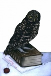 Owl Antique Art Print