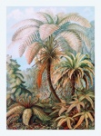 Palm Tree Landscape Vintage Art