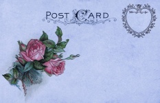 Postcard Vintage Art Roses