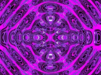 Psychedelic Whirl Purple Lilac