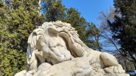 Resting Lion Statue