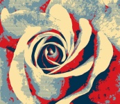 Rose Flower Pop Art