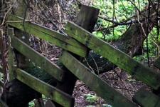 Rustic Fence With Green Moss
