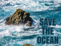 Save The Ocean Poster
