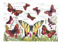 Butterflies Vintage Art Old
