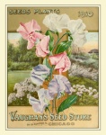 Seed Catalogue Vintage Print