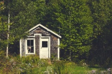 Shed In Woods