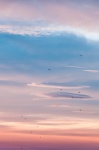 Sky At Sunrise With Birds
