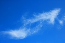Soft And Wispy White Cloud In Sky