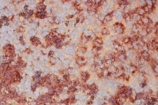 Textured Crust Covered Rust Surface