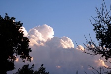 Trees In Silhoute With Large Clouds