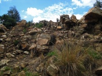 Vegetation And Rocks On Small Hill